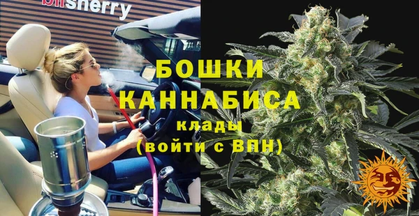 гидра Белокуриха