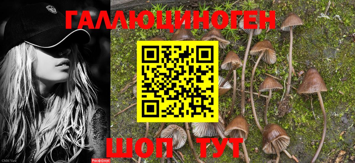 Псилоцибиновые грибы мицелий  Вход с VPN  Каспийск 